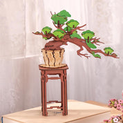 Bonsai Evergreen Pine Rolife