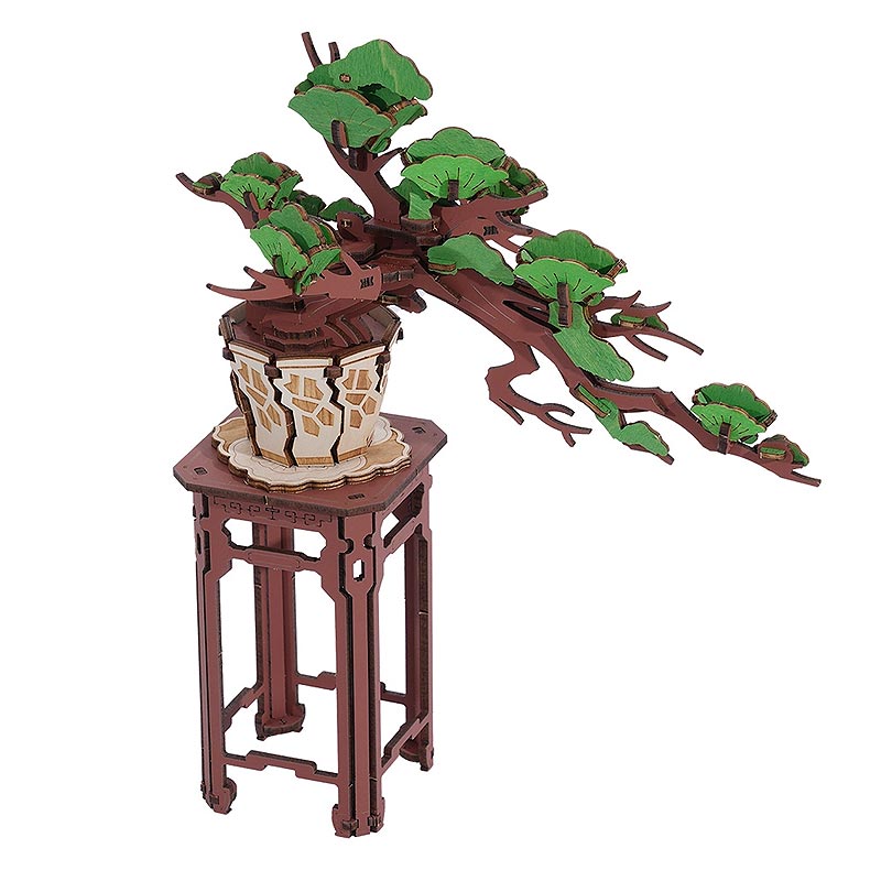 Bonsai Evergreen Pine Rolife