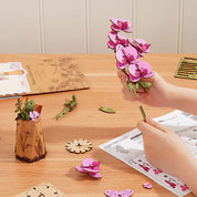 Flor Purple Moth Orchid Orquidea Rolfie