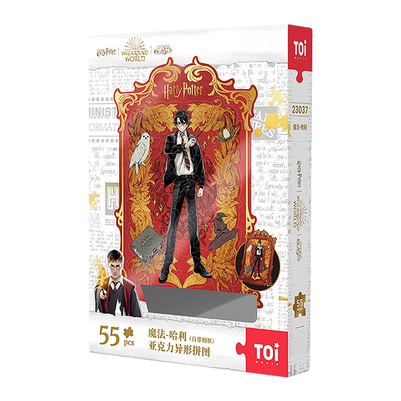 Playmore-TOI-23037-HP-Irregular-Harry-Puzzle-2D-caja.jpg