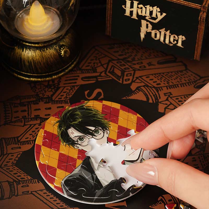 Rompecabezas Harry Potter Espejo Magnético 17pcs TOI