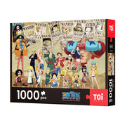 Rompecabezas One Piece Pasado y Presente 1000pcs TOI