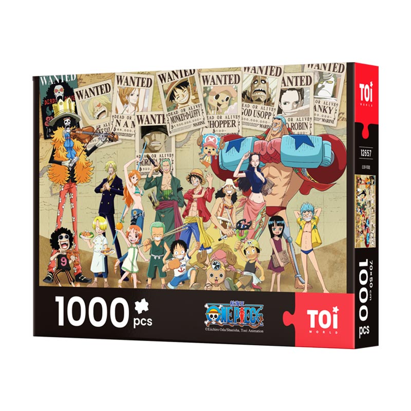 Rompecabezas One Piece Pasado y Presente 1000pcs TOI