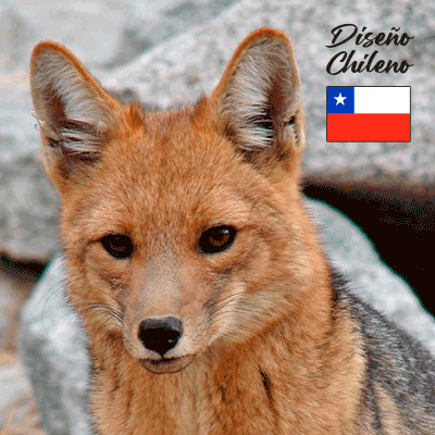 Rompecabeza de Madera Zorro Culpeo Diseño Chileno Playmore