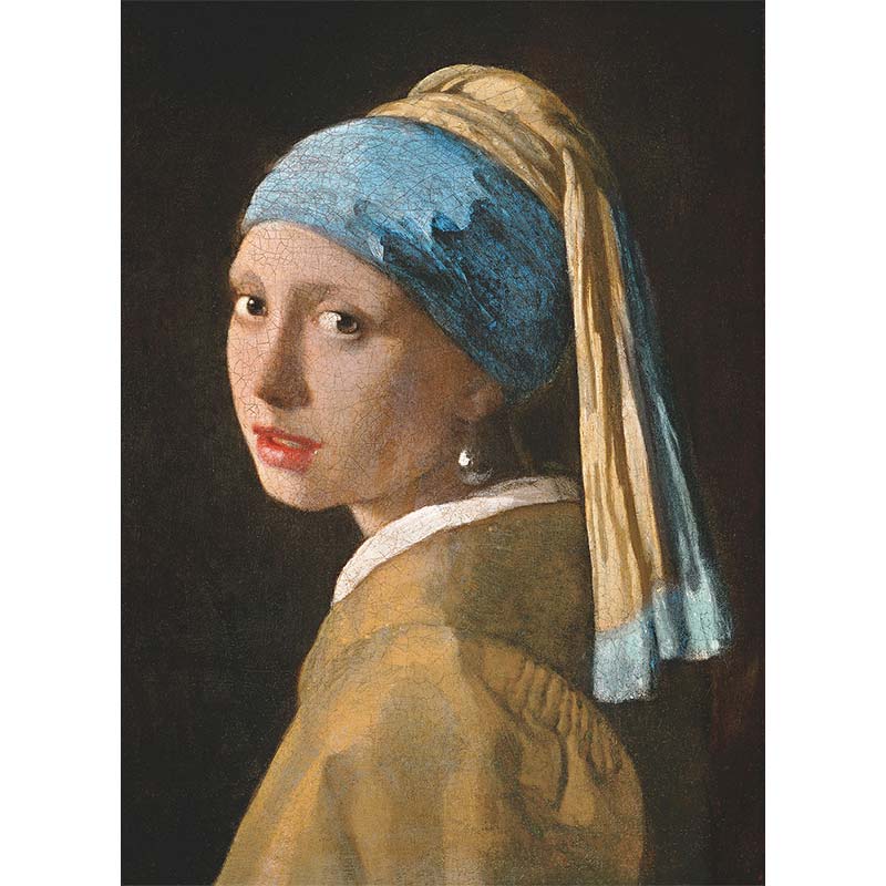 La Joven de la Perla Vermeer Puzzle 2D 1000 Piezas