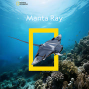 PREVENTA Manta Raya Natgeo Cubicfun