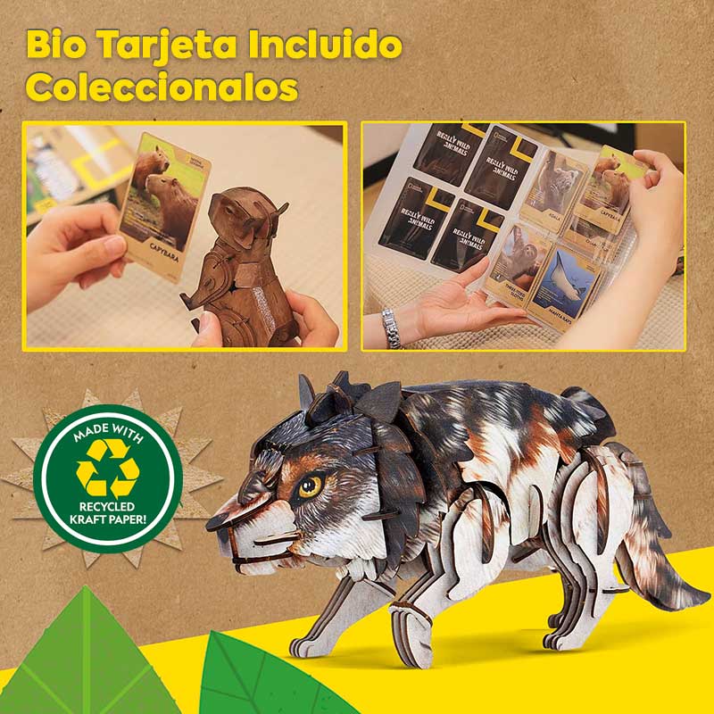 Lobo Gris Natgeo Cubicfun