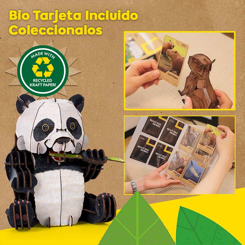 PREVENTA Panda Natgeo Cubicfun