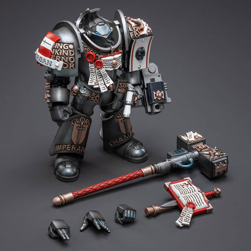 Grey Knights Terminator Caddon Vibova Warhammer Joytoy