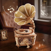 Diva Gramophone ROKR AMK82 - vista 3 - Playmore