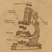 Microscope ROKR ST005 - vista 5 - Playmore
