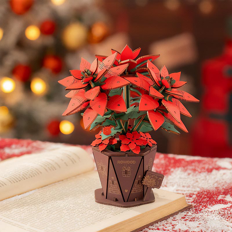 PREVENTA Flor Corona del Inca Poinsettia Rowood