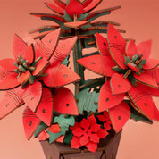 PREVENTA Flor Corona del Inca Poinsettia Rowood