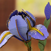 Flor Purple Iris Rolife