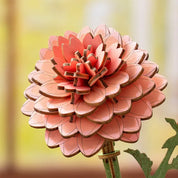 Flor Pink Dahlia Rolife