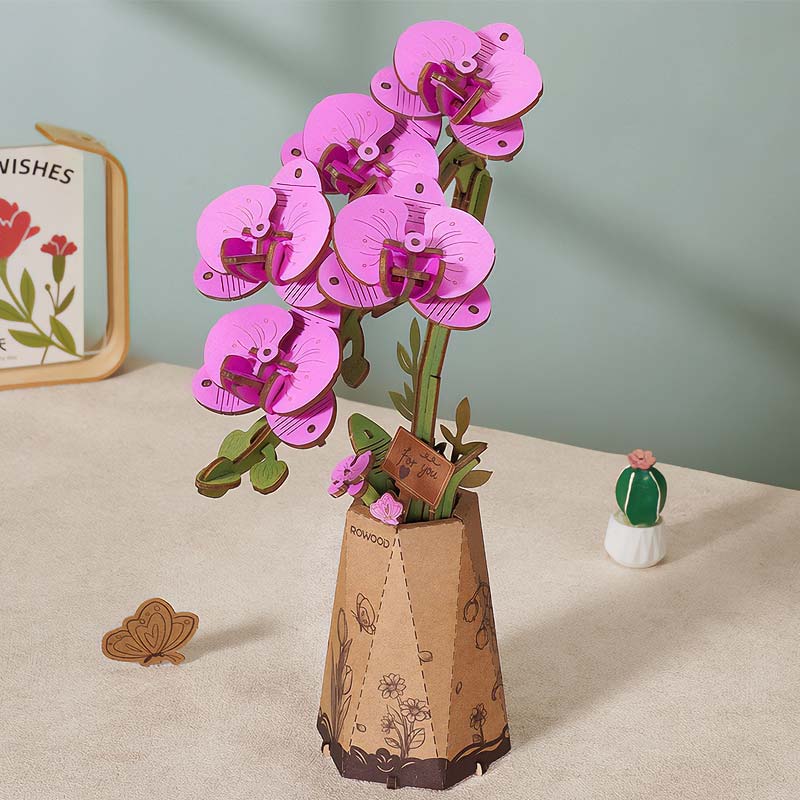 PREVENTA Flor Purple Moth Orchid Orquidea Rolfie