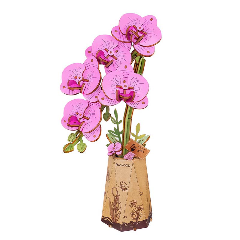 Playmore-Rolife-TW091-Purple-Moth-Orchid-Orquidea.jpg