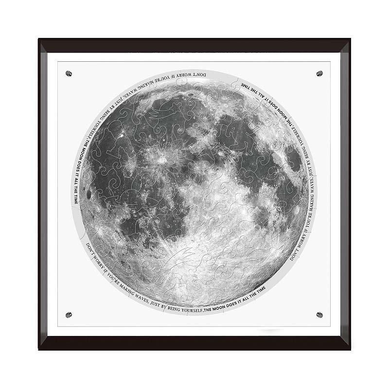 Playmore-TOI-10149-Moon-Frame-Puzzle-2D-front.jpg
