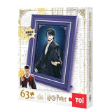 Rompecabezas Harry Potter Foto Memories Blind 63pcs TOI