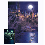 Rompecabezas Harry Potter Hogwarts Noche Estrellada 1000 pcs TOI