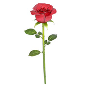 Rosa Roja Metal Earth