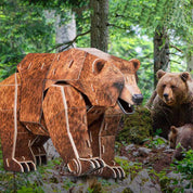 Oso pardo puzzle 3D Cubicfun Natgeo