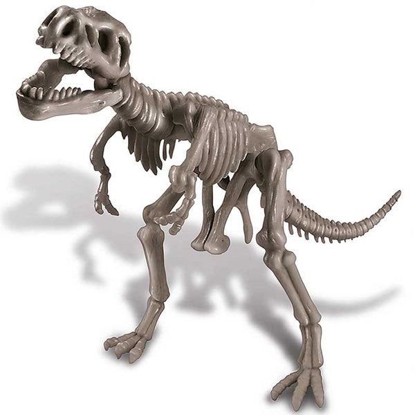 Esqueleto de Dinosaurio Rex Kit de Ciencia Kidz Labs